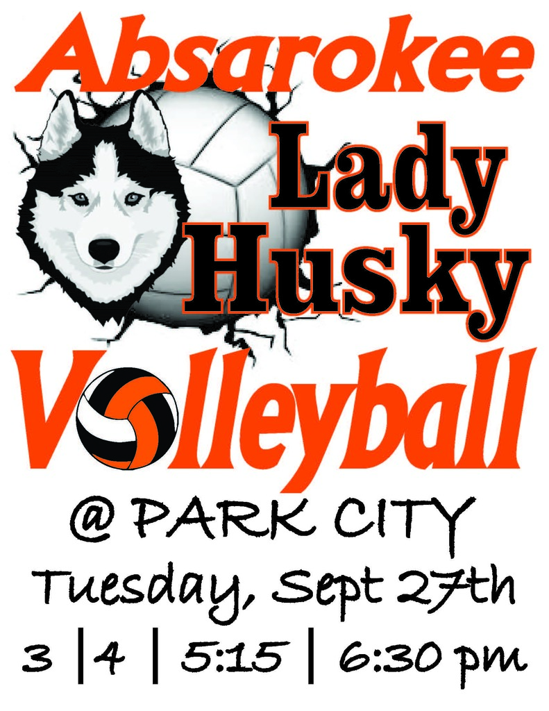 Volleyball at Park City